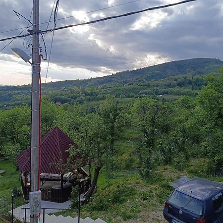 Casuta Din Livada Vila Moisei Exterior foto