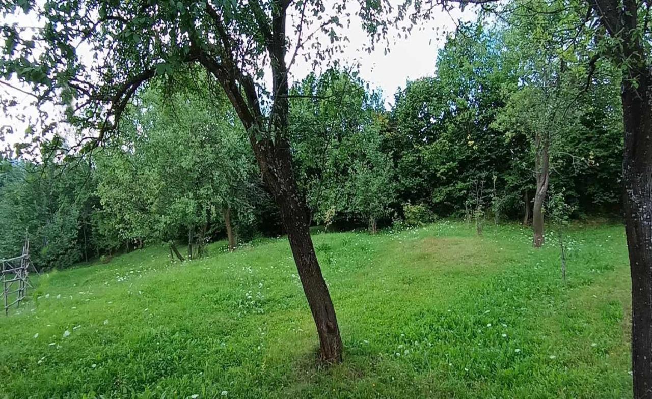Casuta Din Livada Vila Moisei Exterior foto