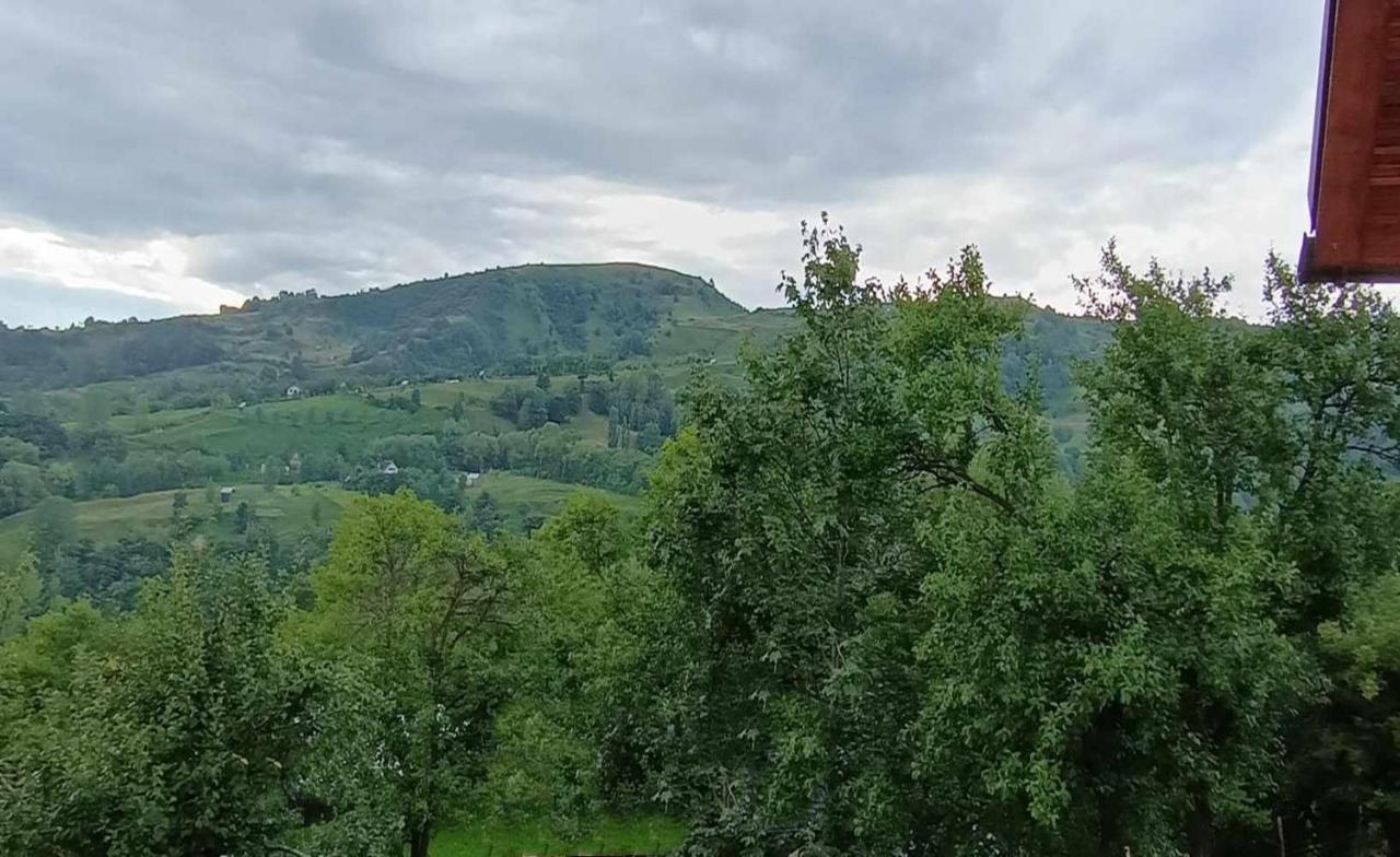 Casuta Din Livada Vila Moisei Exterior foto