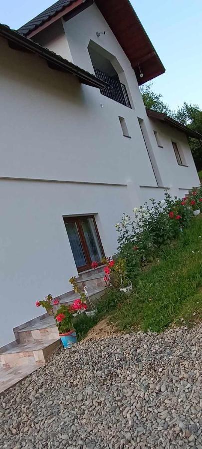 Casuta Din Livada Vila Moisei Exterior foto