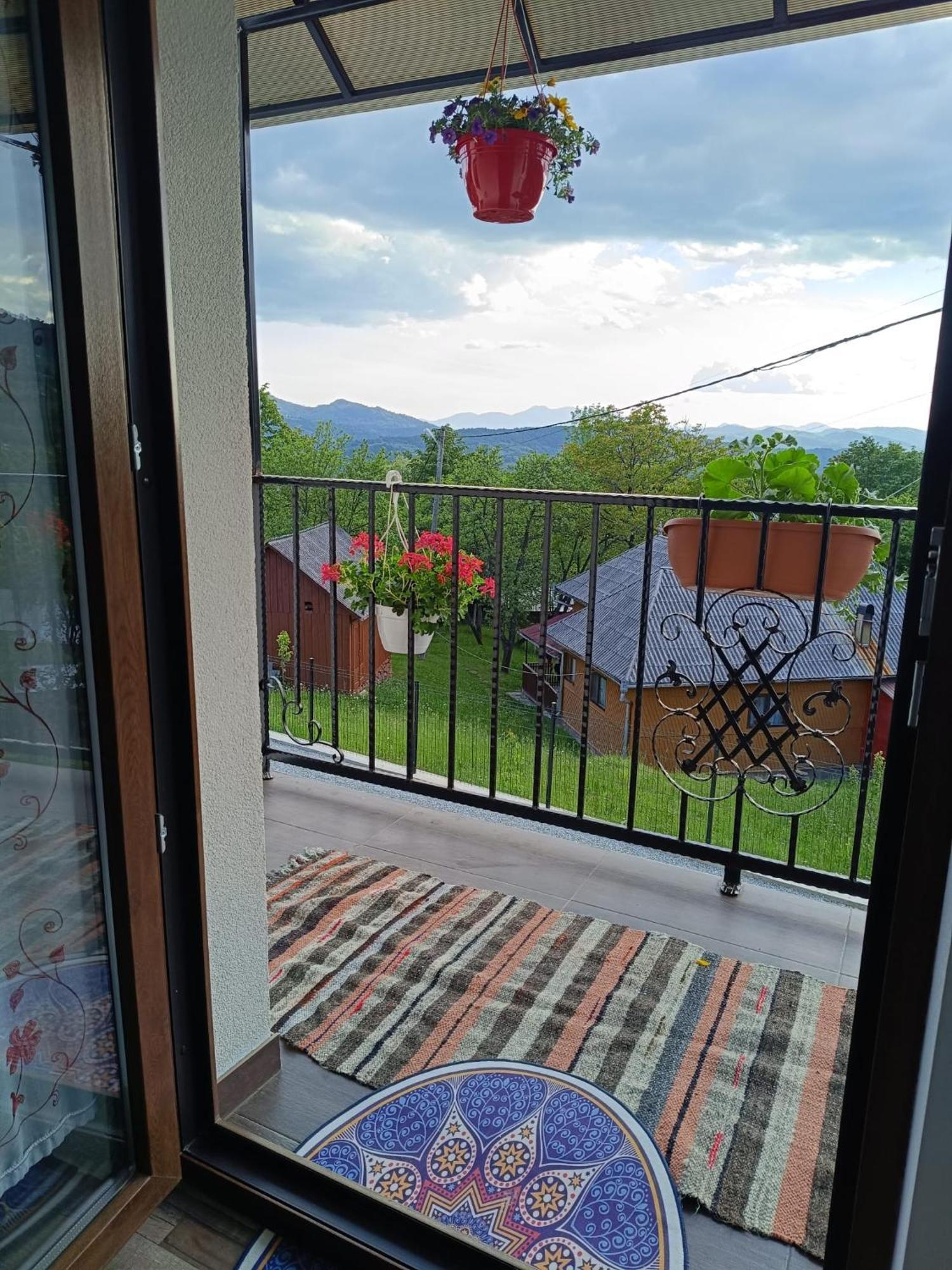Casuta Din Livada Vila Moisei Exterior foto