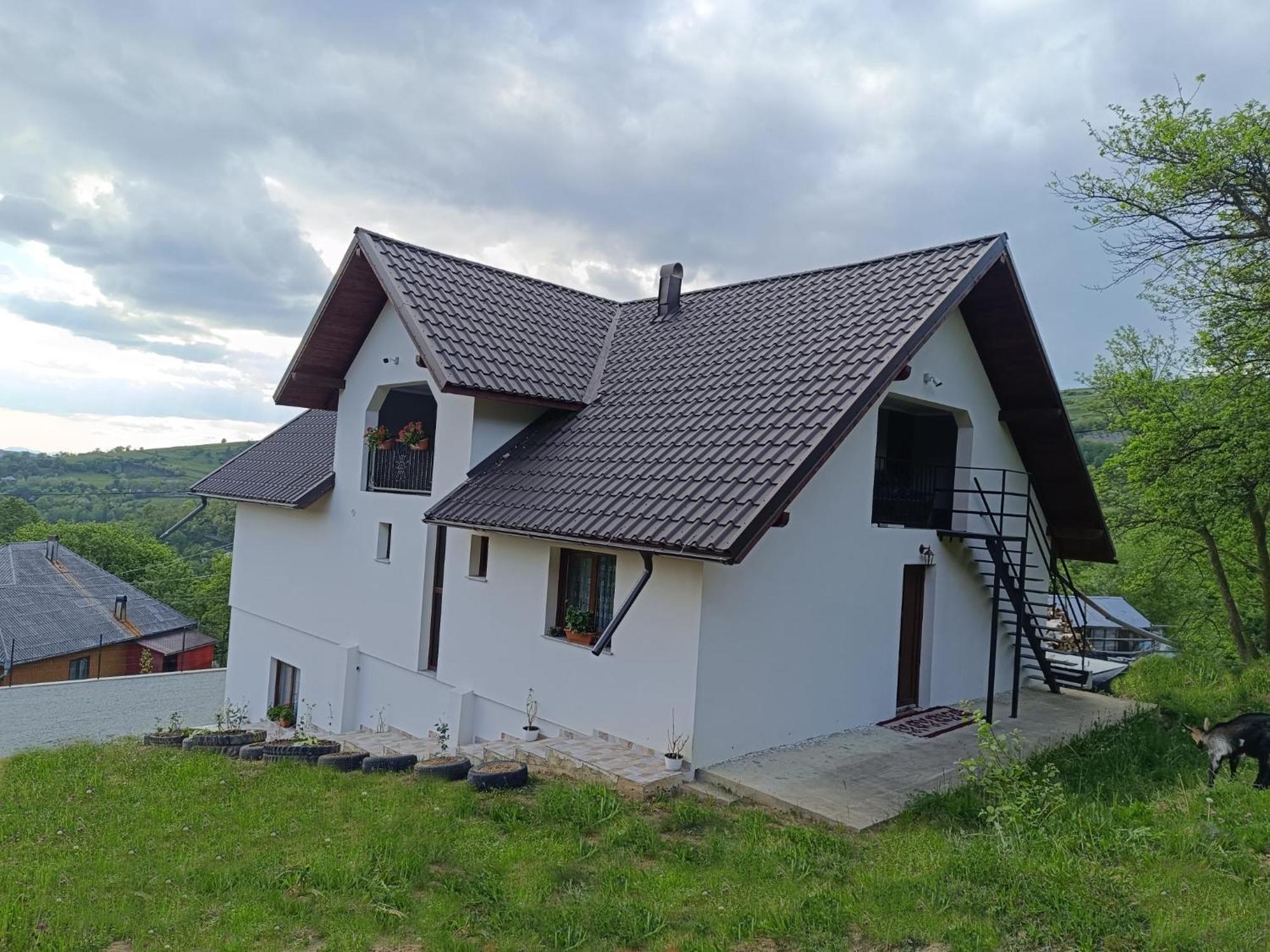 Casuta Din Livada Vila Moisei Exterior foto