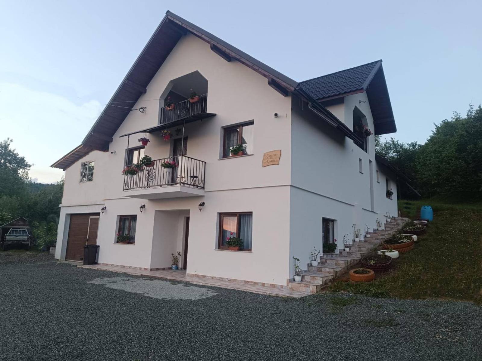 Casuta Din Livada Vila Moisei Exterior foto